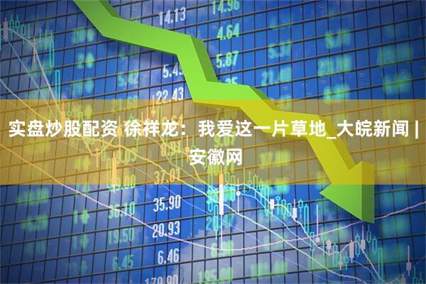 实盘炒股配资 徐祥龙：我爱这一片草地_大皖新闻 | 安徽网